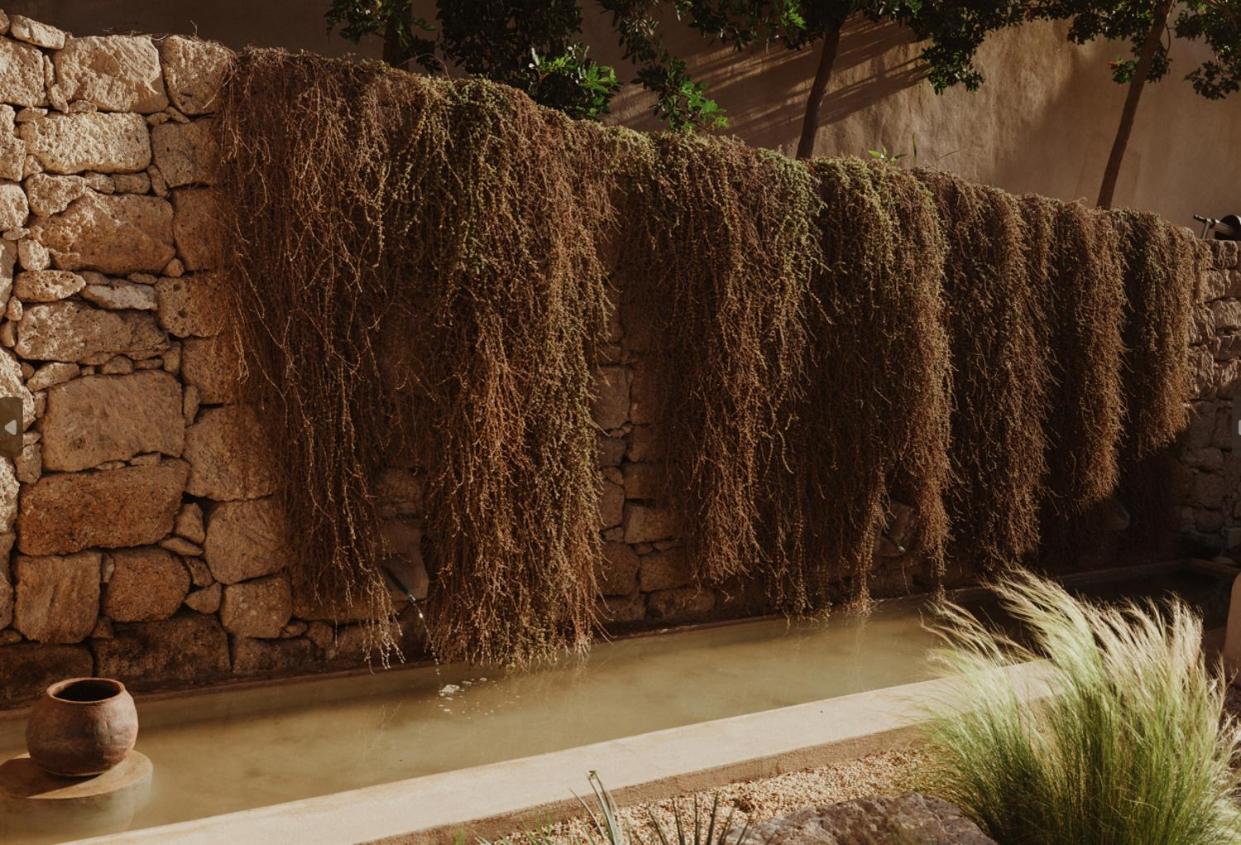 Ecohotel El Agua Arico el Nuevo Bagian luar foto