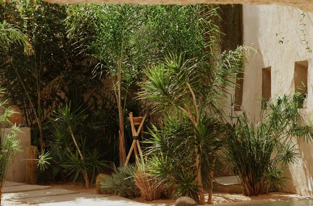 Ecohotel El Agua Arico el Nuevo Bagian luar foto