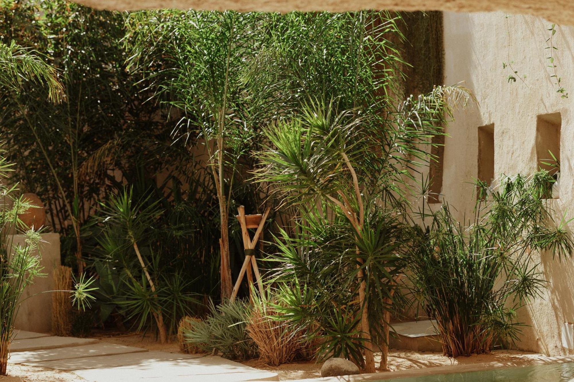 Ecohotel El Agua Arico el Nuevo Bagian luar foto